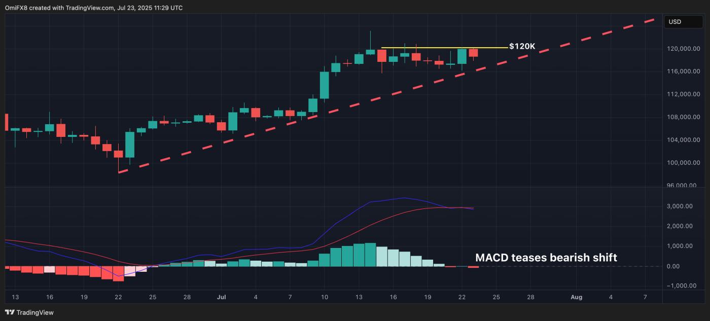 BTC's daily chart. (TradingView) BTC's daily chart. (TradingView)