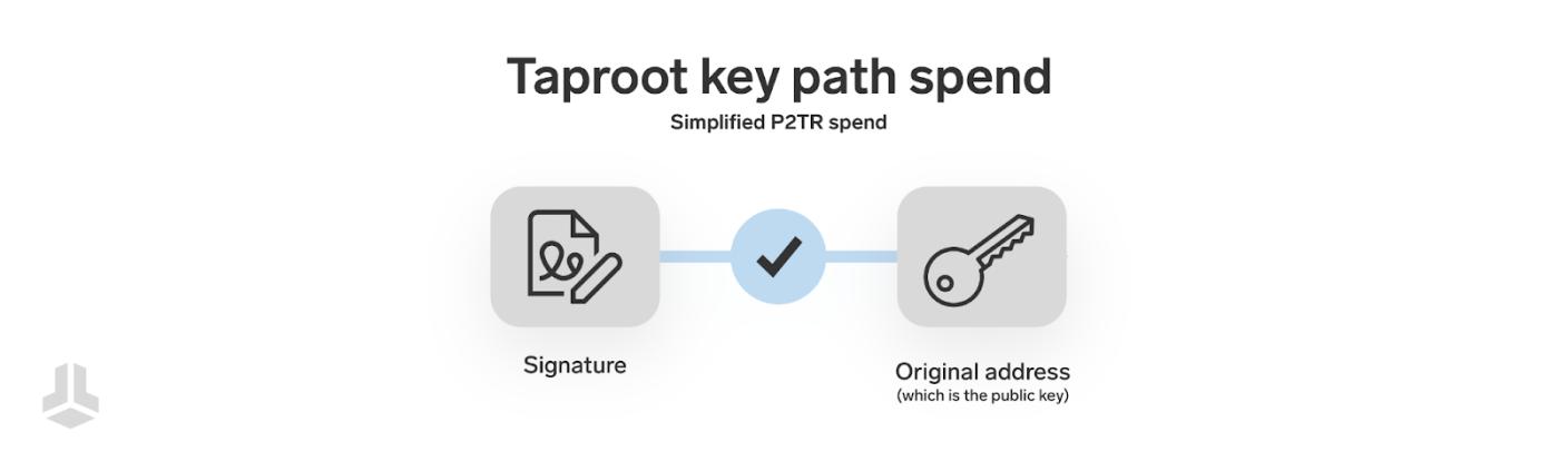 đường dẫn khóa taproot