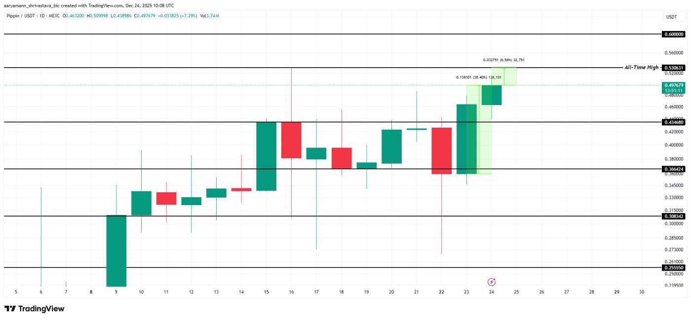 PIPPIN 가격 분석