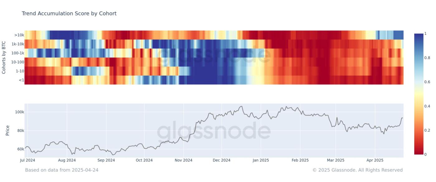 Bitcoin Trend Accumulation Score.