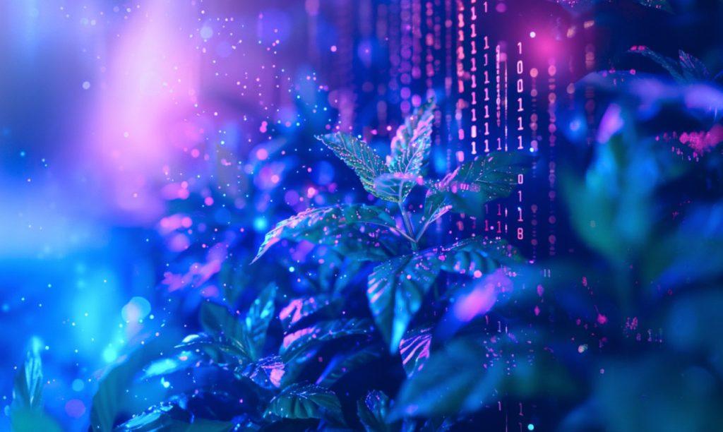 Optimism-Powered Ethereum Layer 2 Network Mint To Launch Its Mainnet On May 15