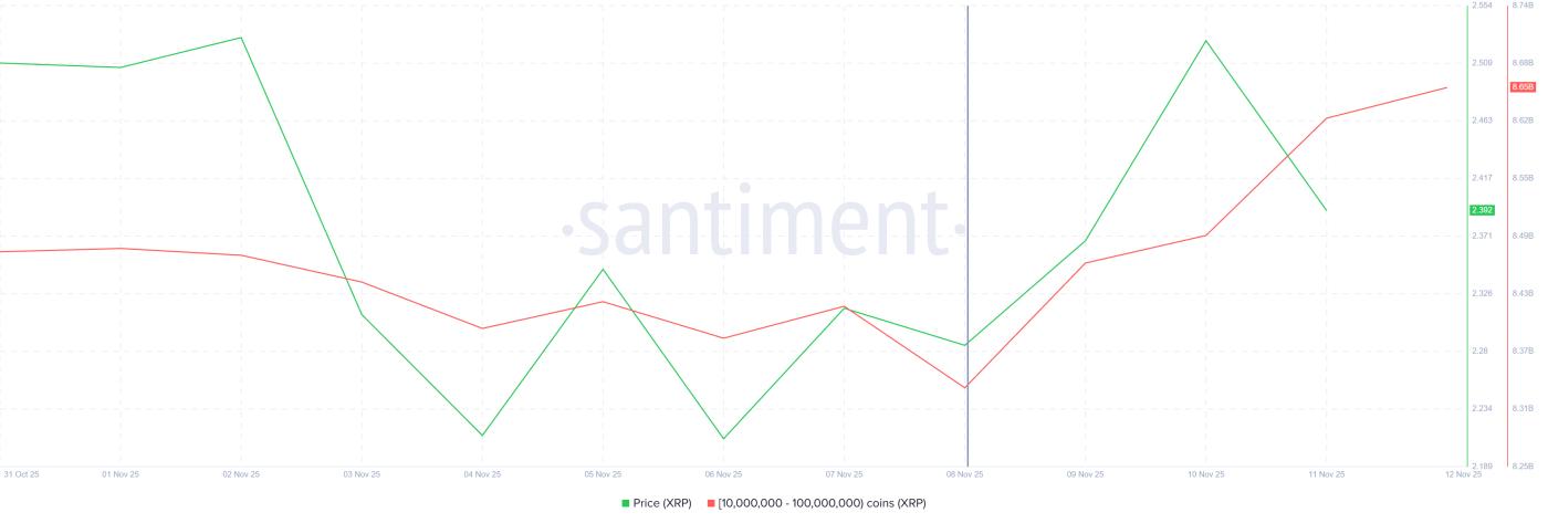 以太坊鯨魚控股