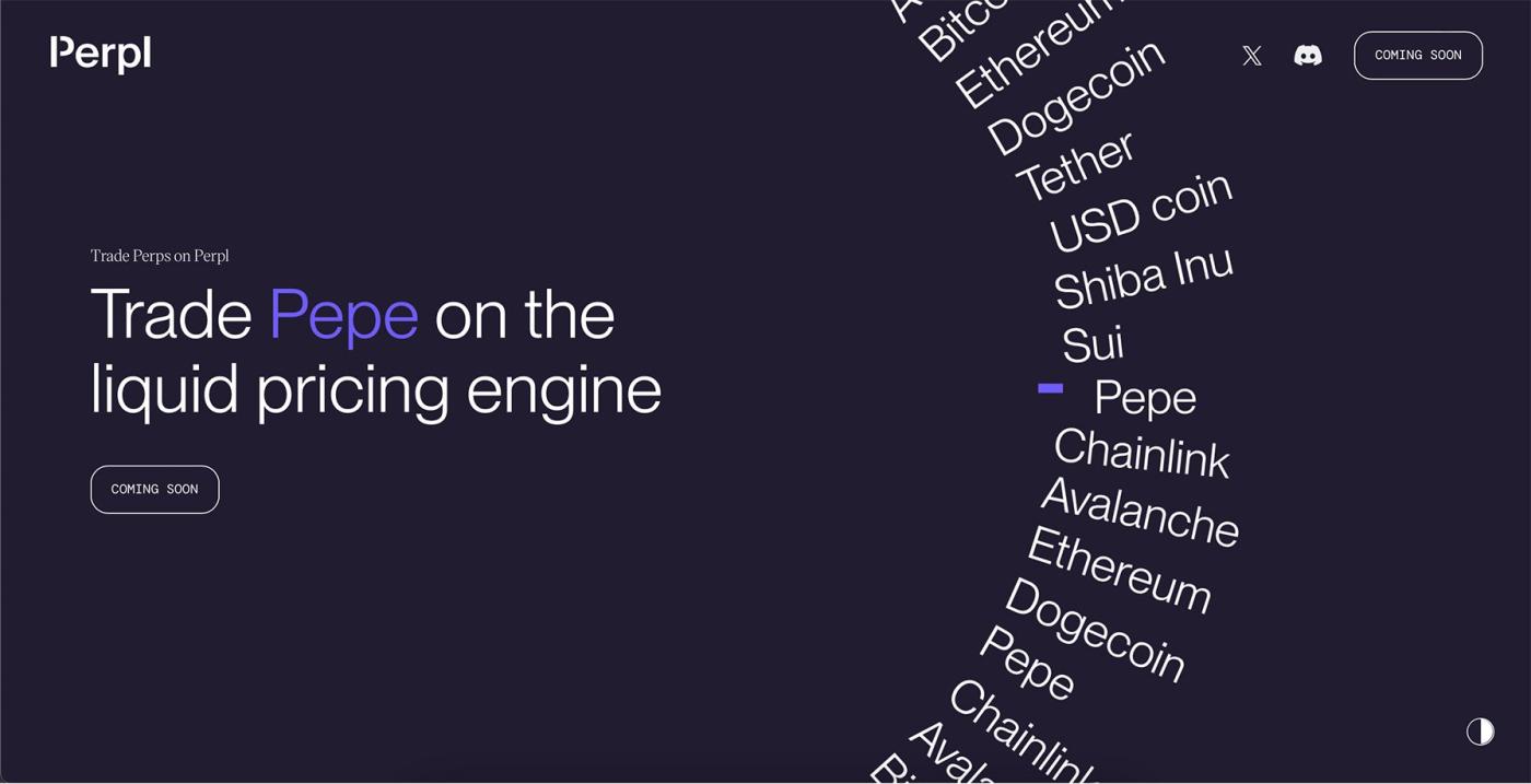 Perpl là gì? Tổng quan về dự án Perpl