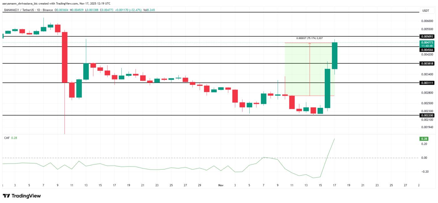 BANANAS31 가격 분석