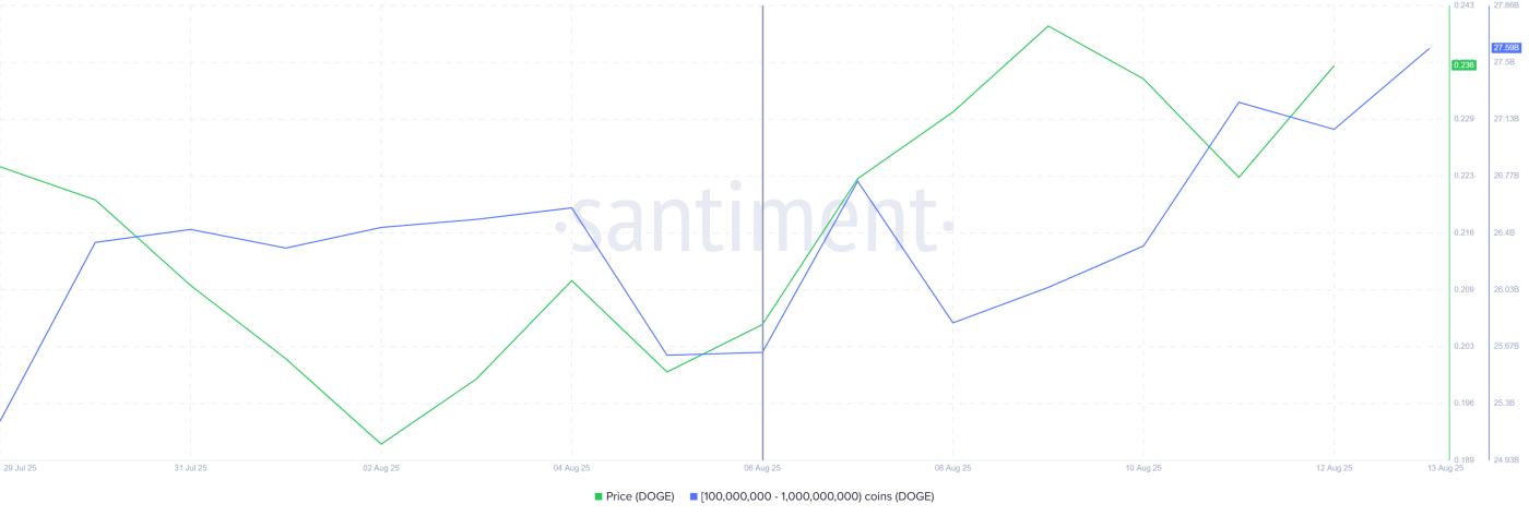 Dogecoin Whale Holdings