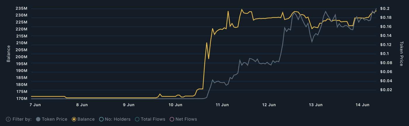 AURA Whales Analysis.