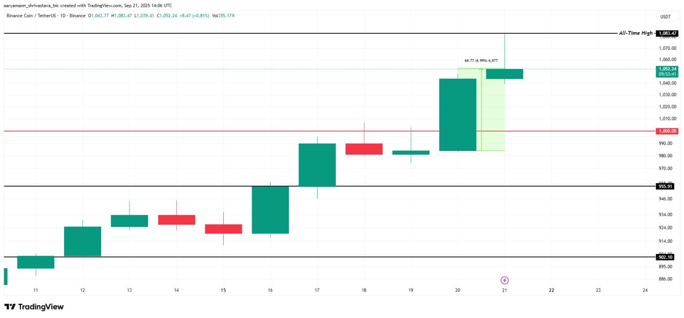 BNB Price Analysis.