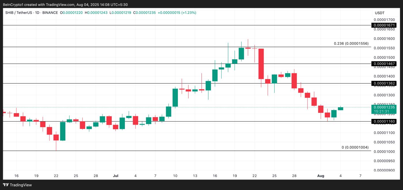 SHIB Price Analysis.