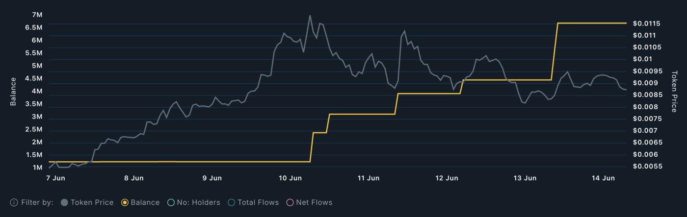 BRAIN Whales Analysis.