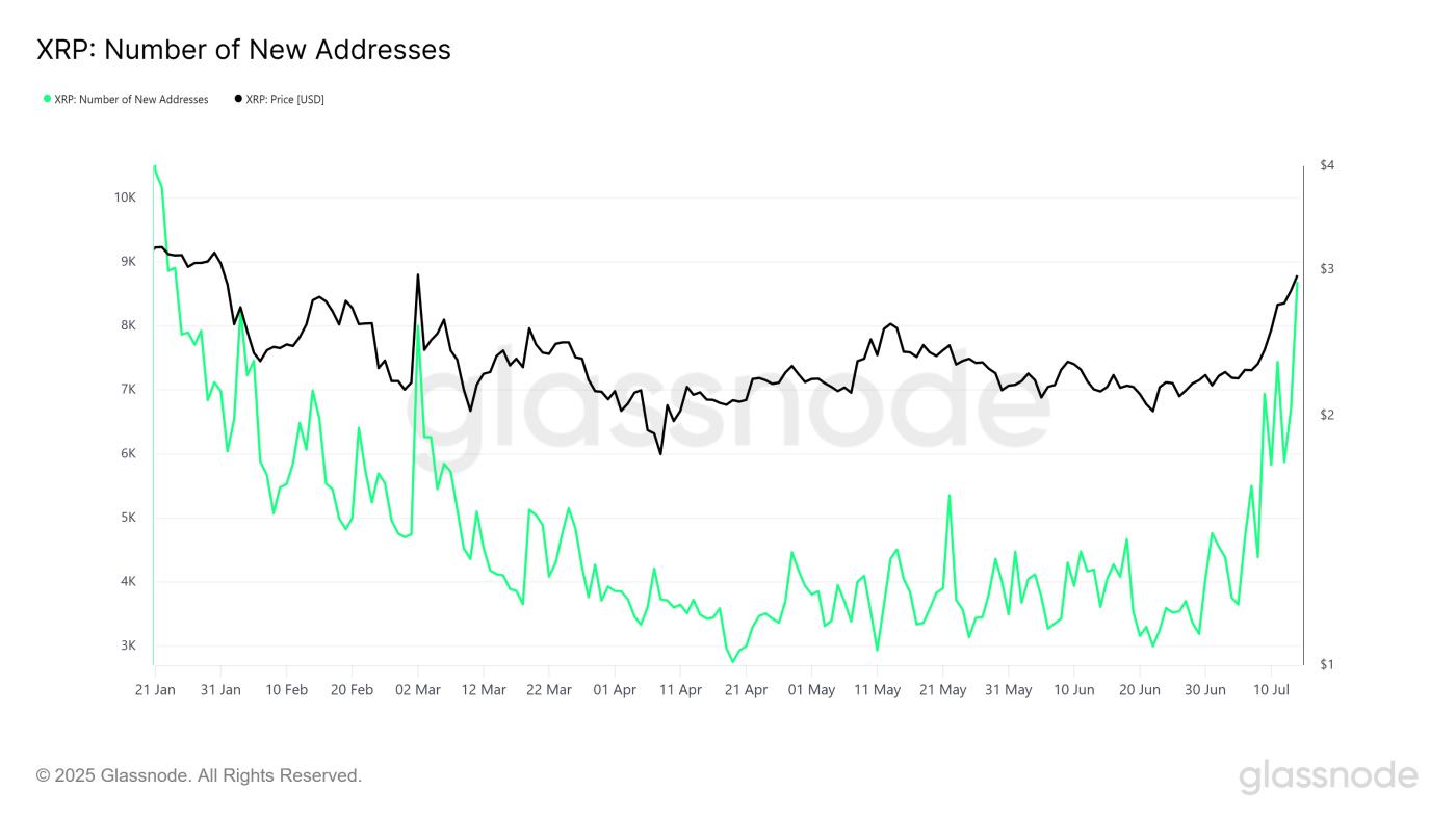 XRP New Addresses