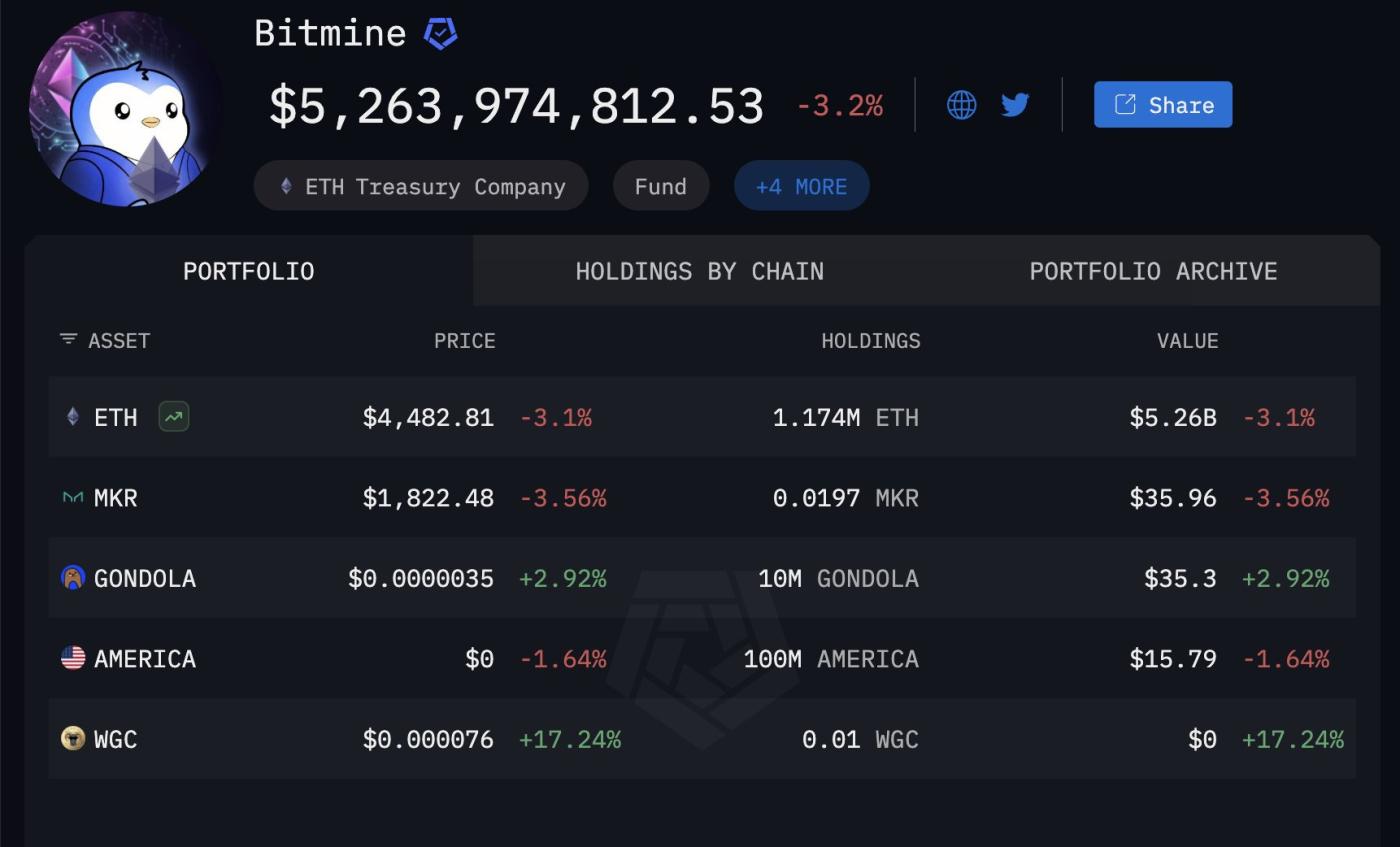 BitMine Ethereum Holdings.