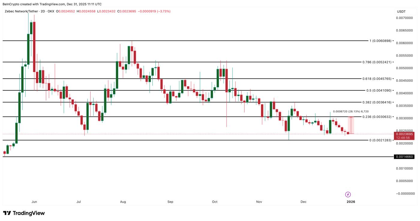 제벡 가격 분석