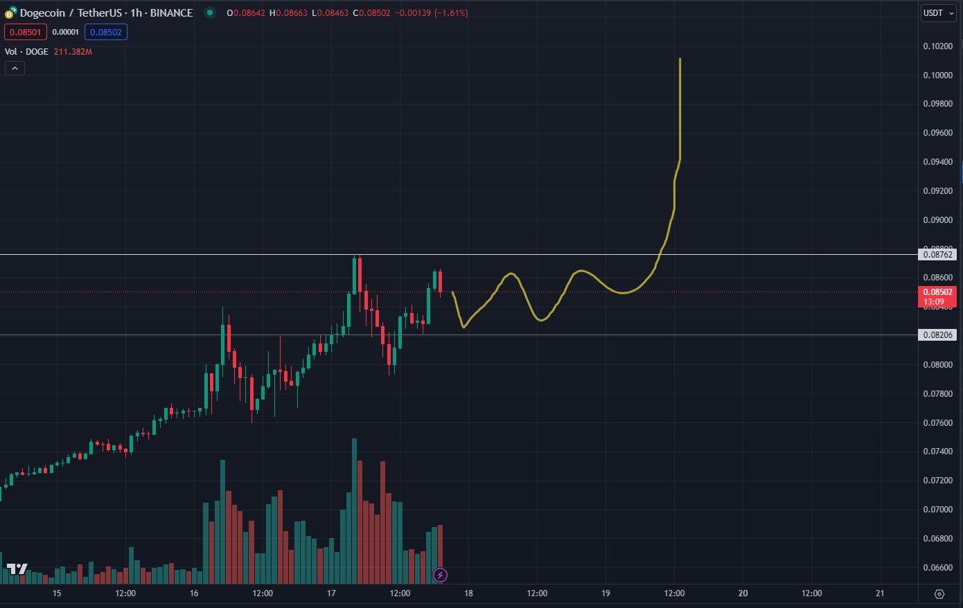 DOGE/USDT Hourly Chart.