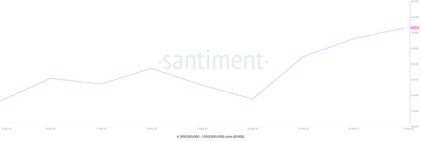 DOGE Whale Holdings.