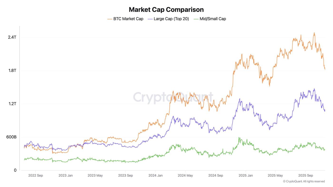 BTC와 알트코인 시가총액 비교. 출처: CryptoQuant.