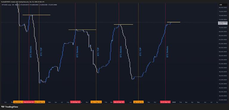 The memecoin sector lost roughly two-thirds of its market cap over the year, illustrating how speculative excess drained instead of cycling forward.