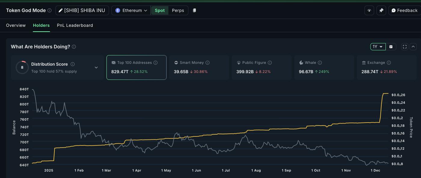 Người sở hữu SHIB cả năm