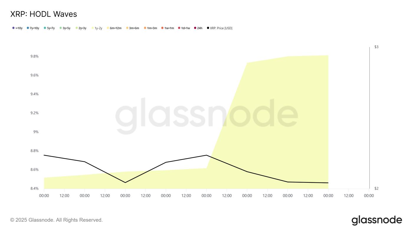 XRP HODL 웨이브