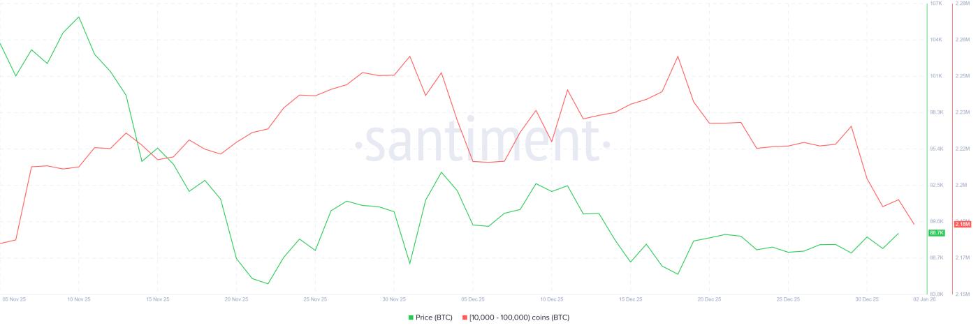 比特幣巨鯨持有量