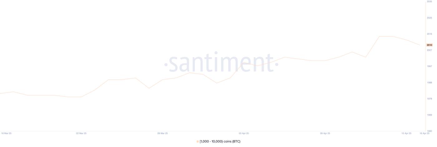 비트코인 고래.
