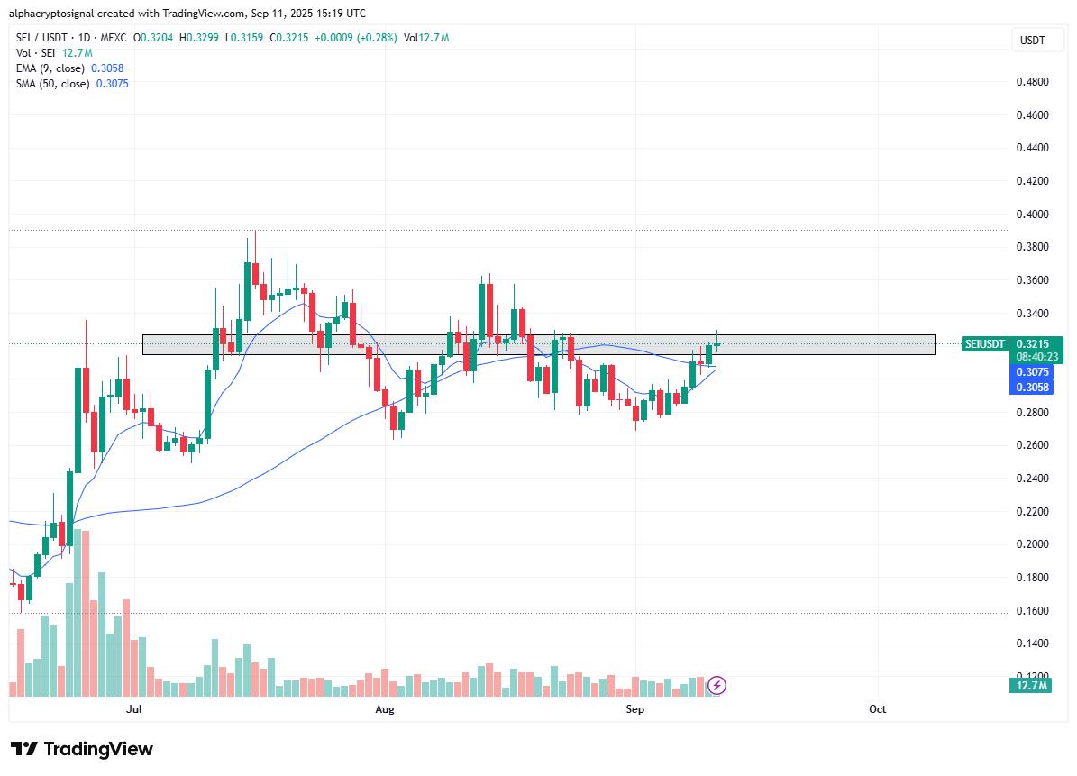 SEI/USDT 日線圖。資料來源：Alpha on X