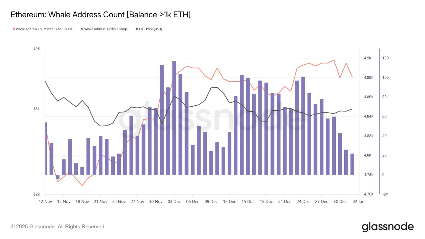 Ethereum Whale Address Count