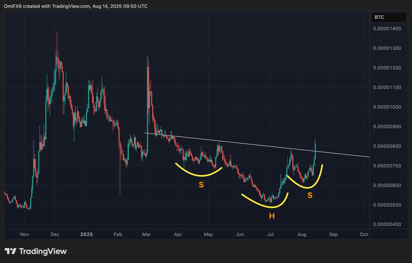 ADA/BTC daily chart. (TradingView/CoinDesk)
