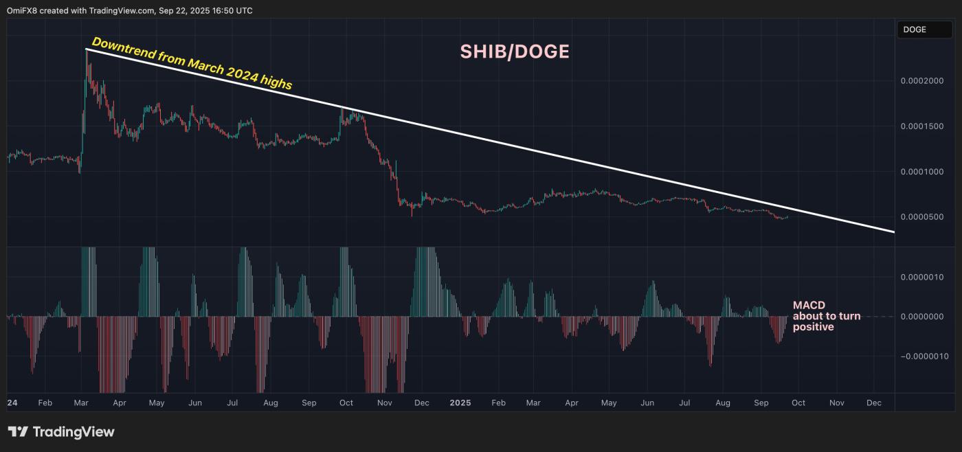 SHIB-DOGE pair's daily price action in candlesticks format. (TradingView)