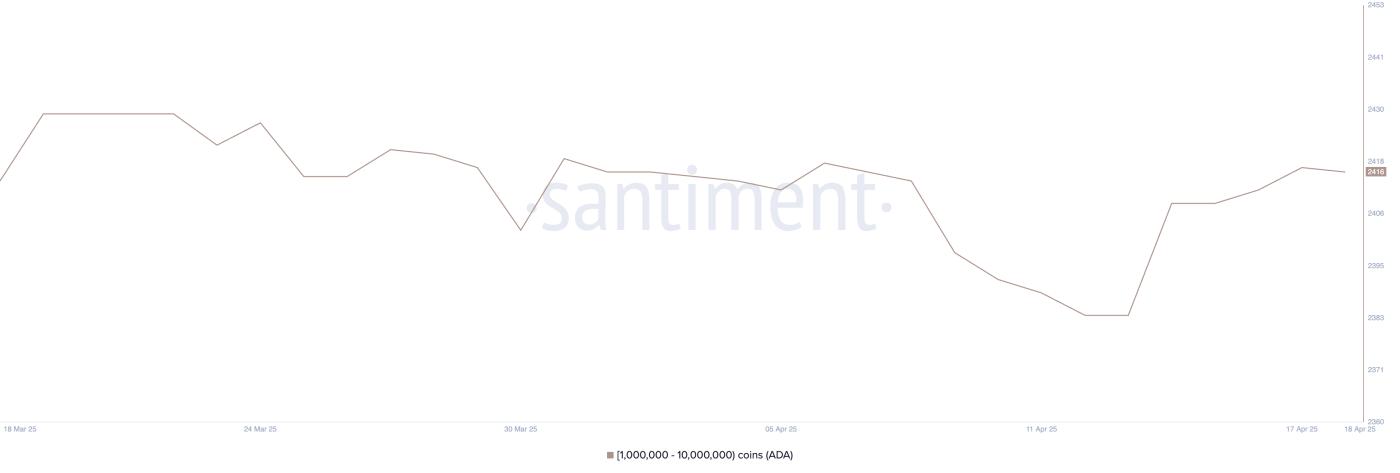Addresses Holding Between 1 Million and 10 Million ADA.