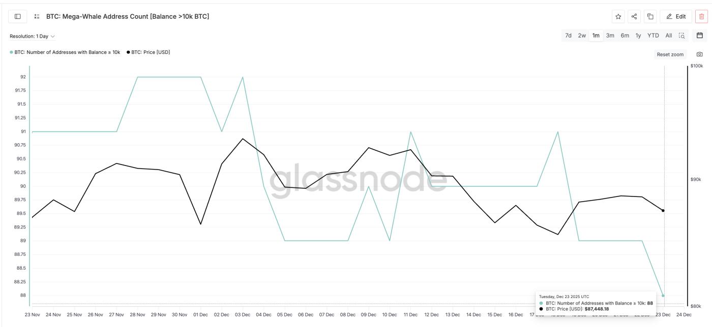 메가 웨일즈 유통