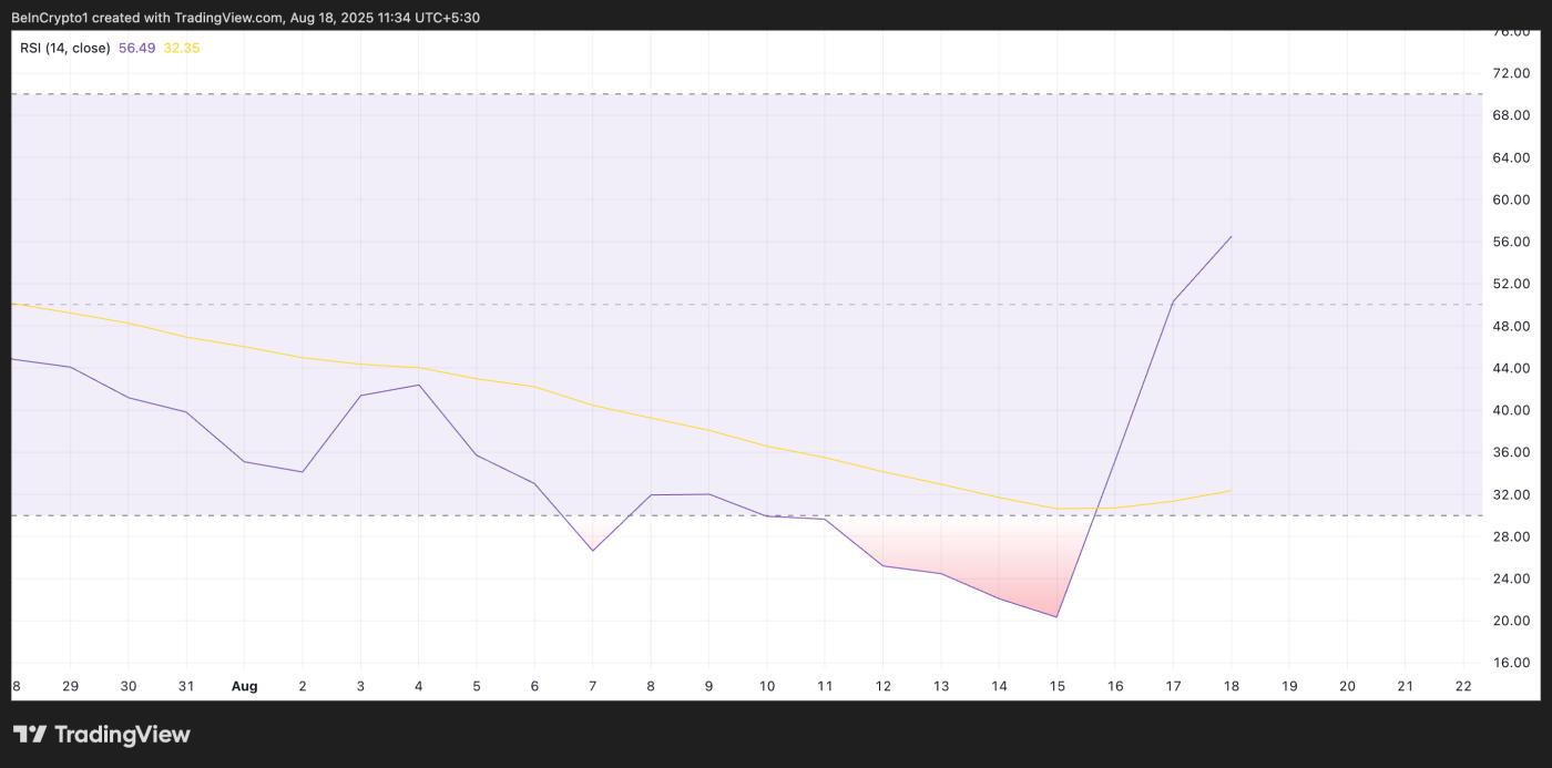 XMR RSI.