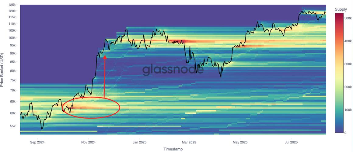 Reading the Crowd: How Cost Basis Distribution Reveals Market Tops and Bottoms