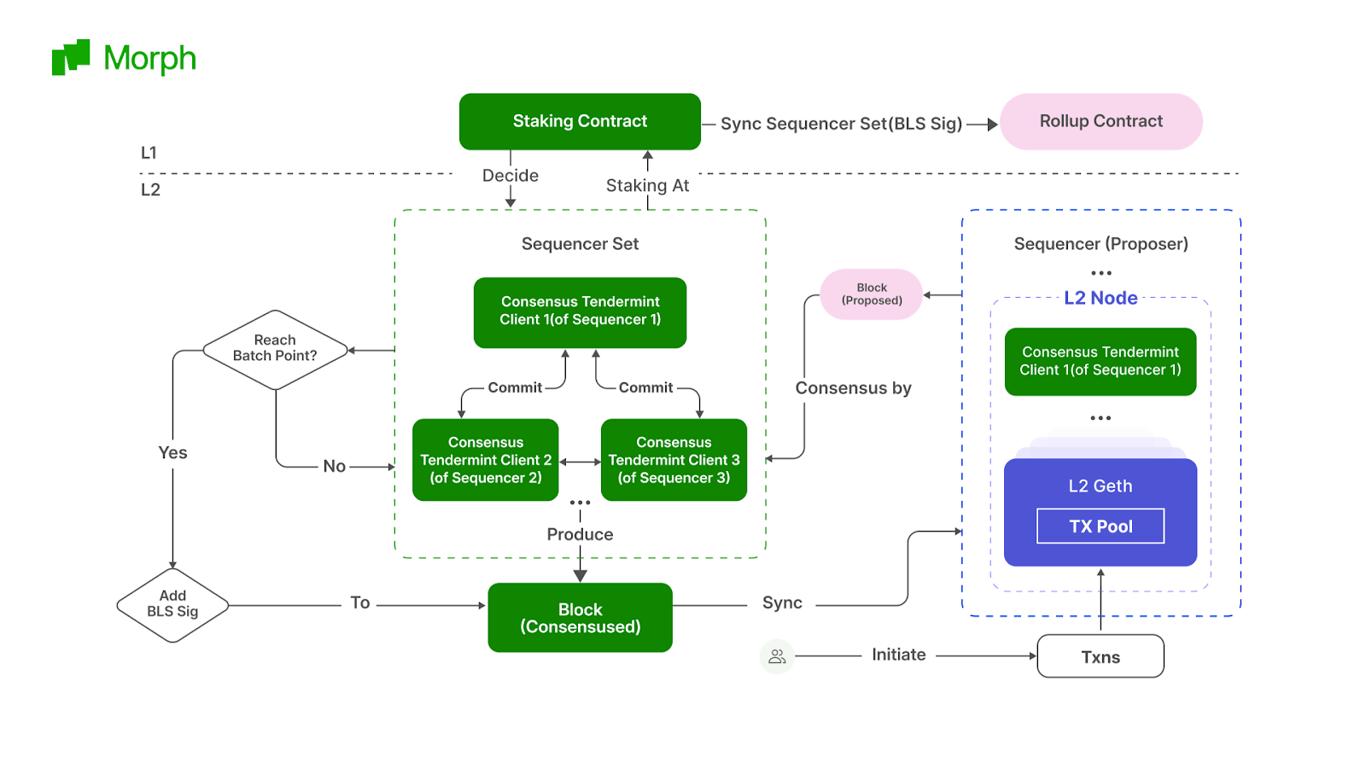 Morph CEO와의 대화: 암호화폐 리더는 깨어 있어야 하며 소비자 수준의 생태학적 포지셔닝은 대체 불가능합니다.
