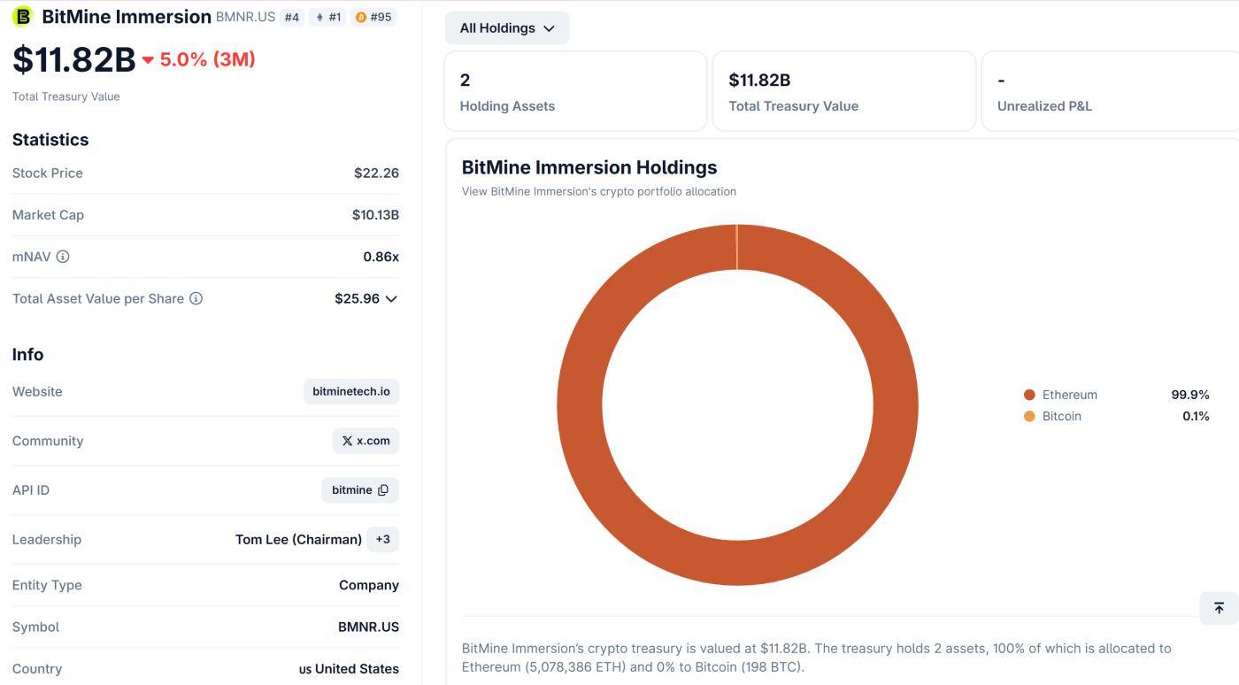 비트마인 홀딩스