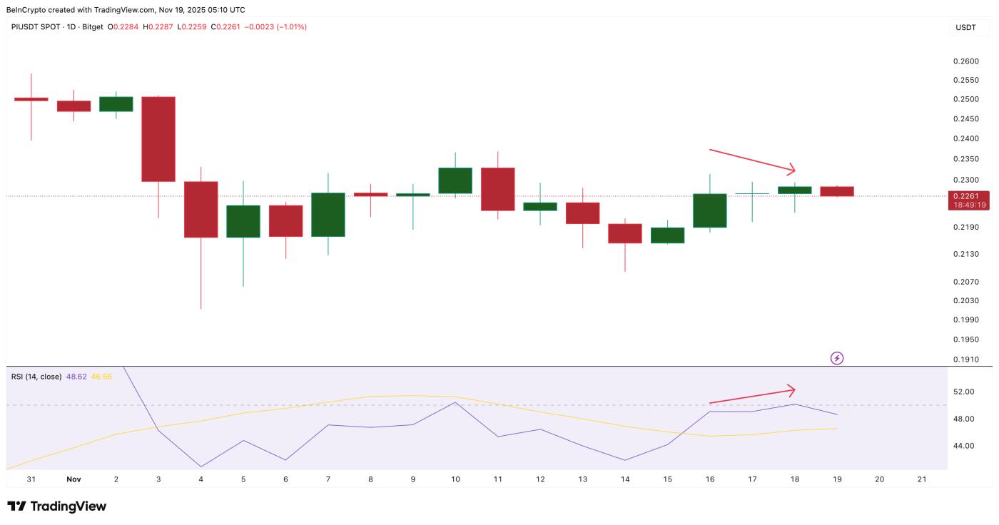 隐藏的熊类分歧闪光