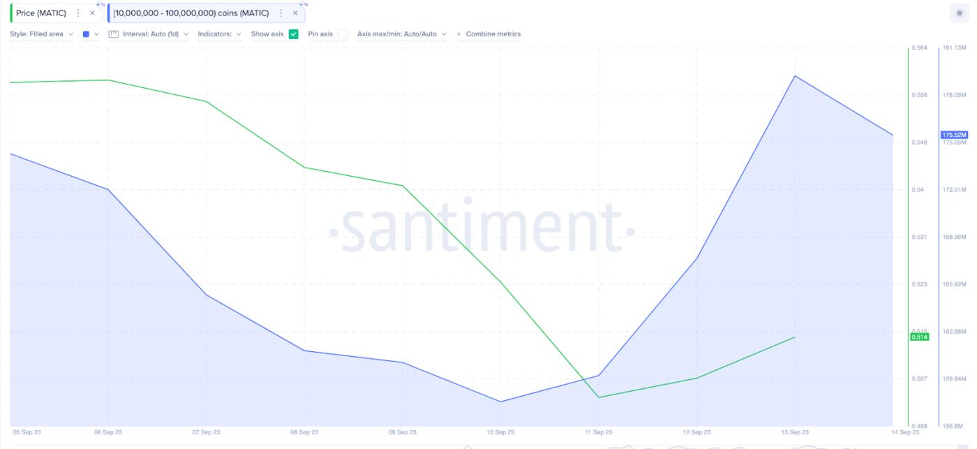 암호화폐 고래들이 할인된 알트코인을 구매하고 있습니다 | Polygon (MATIC) Whales의 지갑 잔액, 2023년 9월.