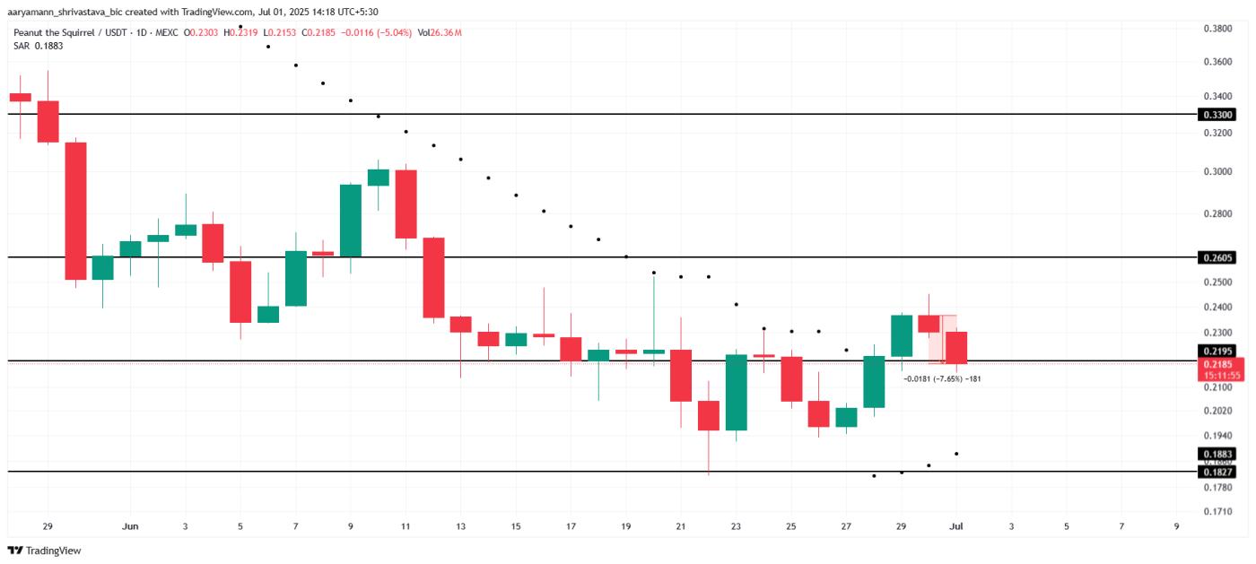 PNUT Price Analysis.