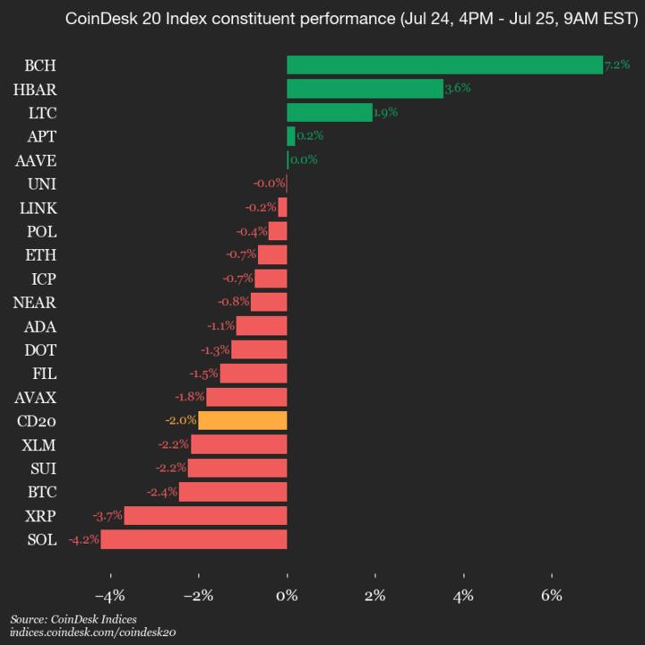 9am CoinDesk 20 Update for 2025-07-25: vertical chart 9am CoinDesk 20 Update for 2025-07-25: vertical