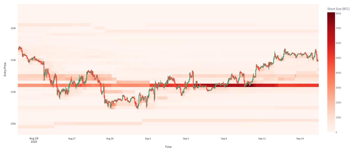Pressure Points: Liquidation Heatmaps & Market Bias