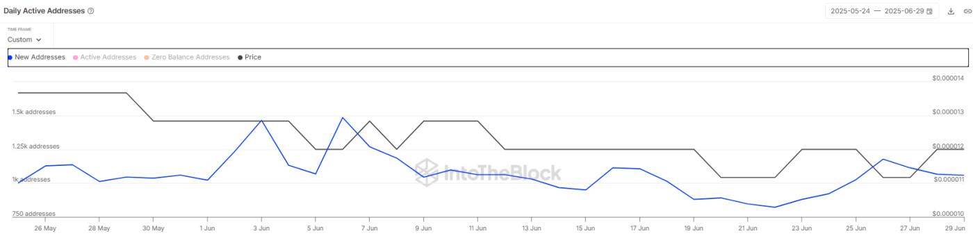 Shiba Inu New Addresses