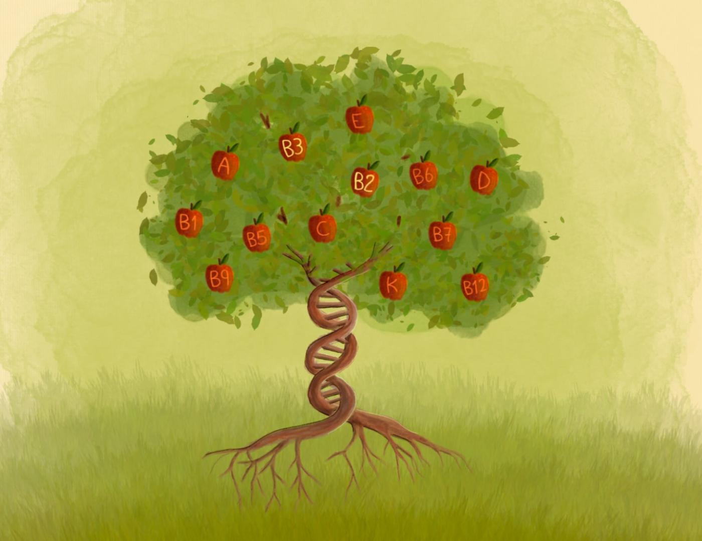 Illustration of a tree with DNA trunk bearing fruits labeled with vitamins