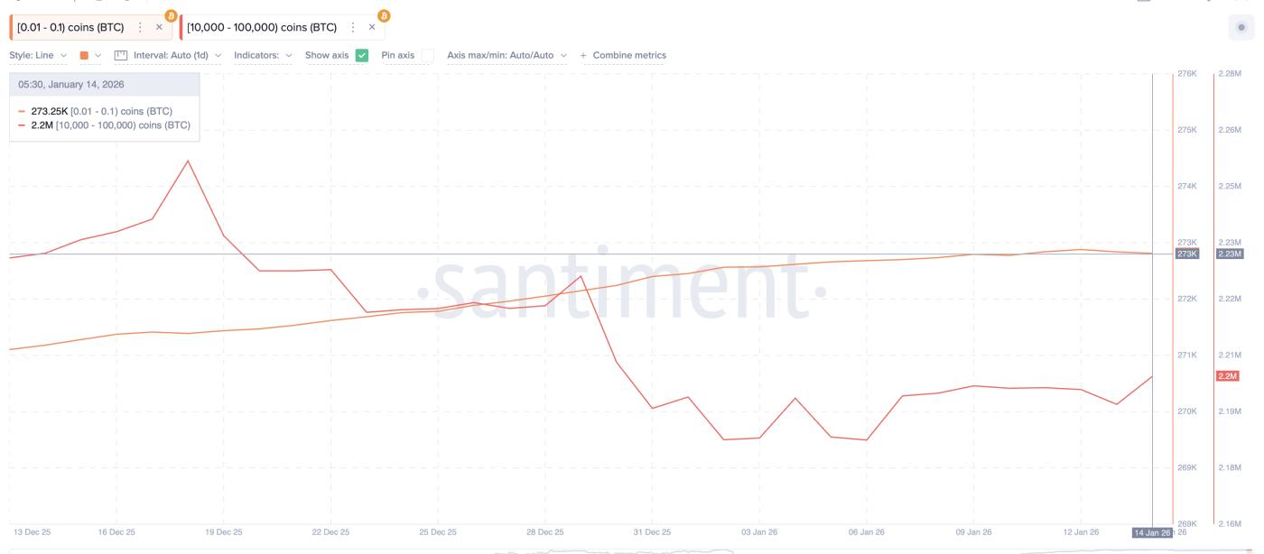 개인 투자자와 고래 투자자 모두 구매합니다.