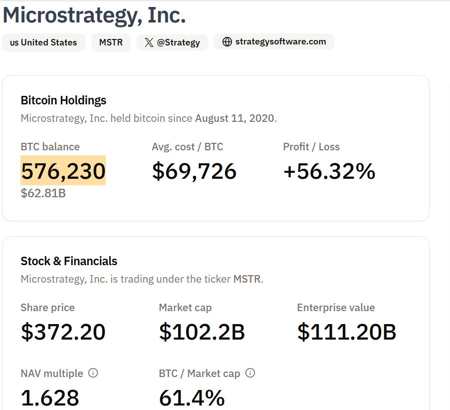 MicroStrategy Bitcoin Holdings