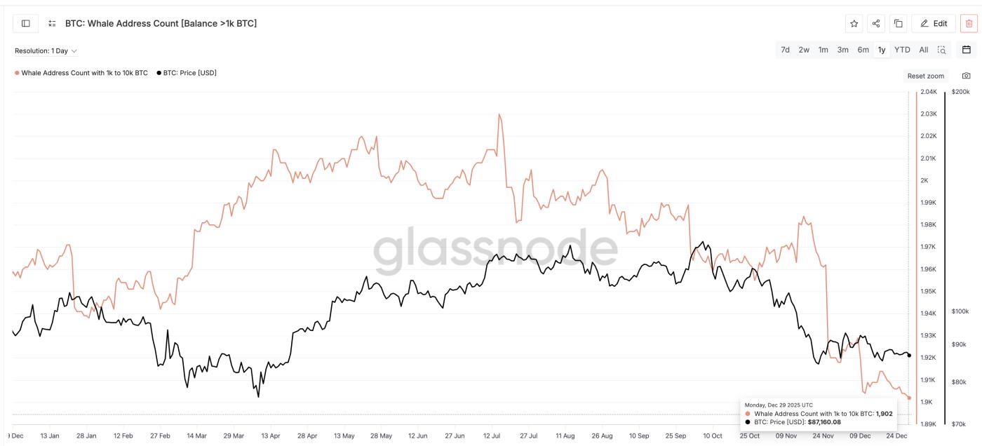鲸鱼仍然不见踪影