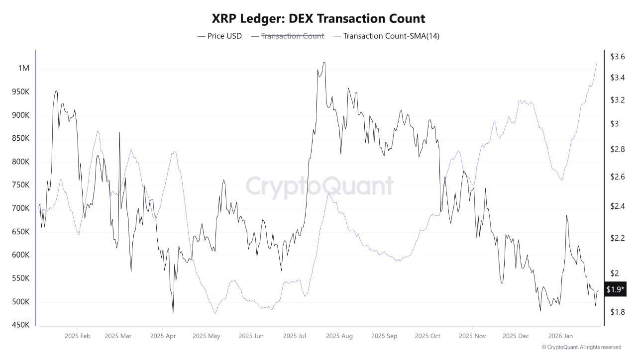 XRP Ledger: 탈중앙화 거래소(DEX) 거래 건수. 출처: CryptoQuant