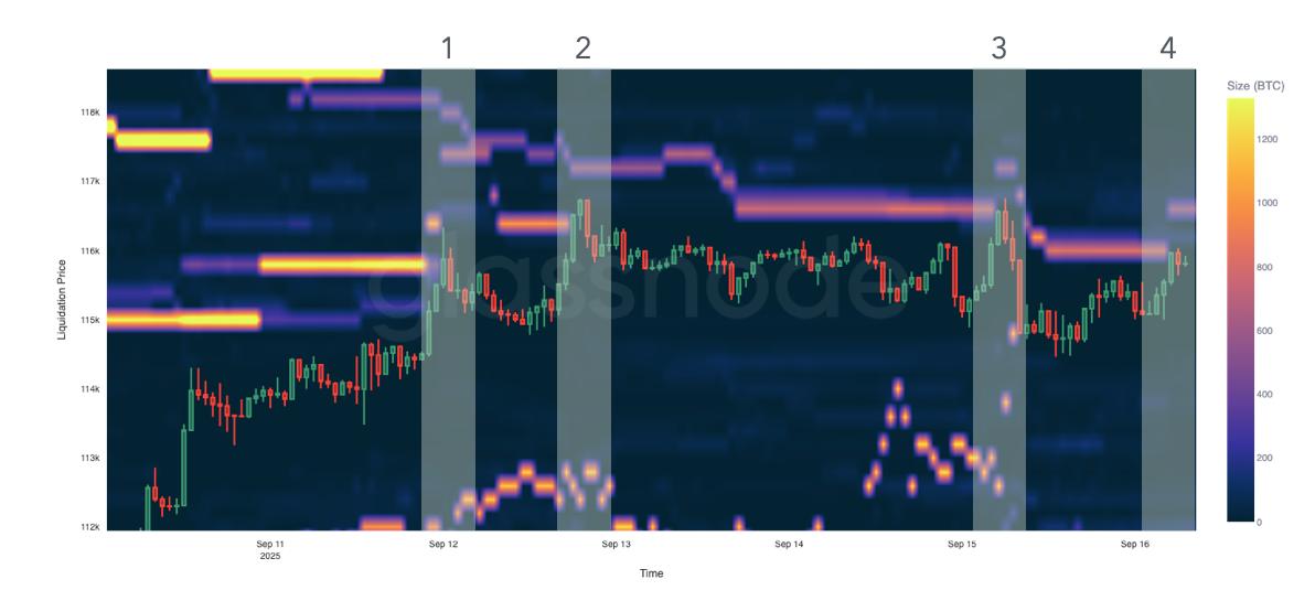 Pressure Points: Liquidation Heatmaps & Market Bias