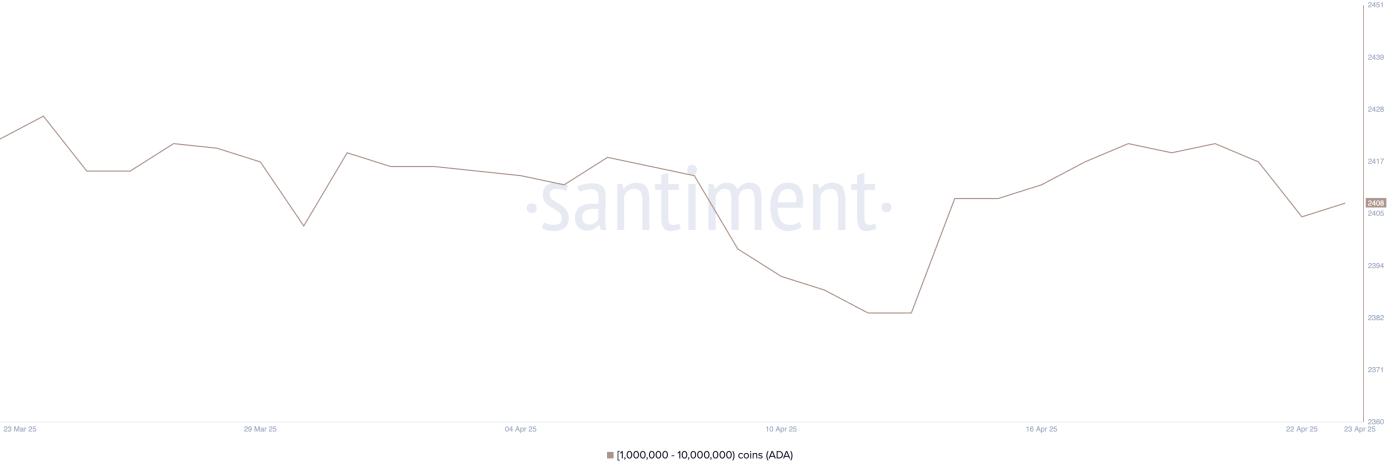 Addresses Holding Between 1 Million and 10 Million ADA.
