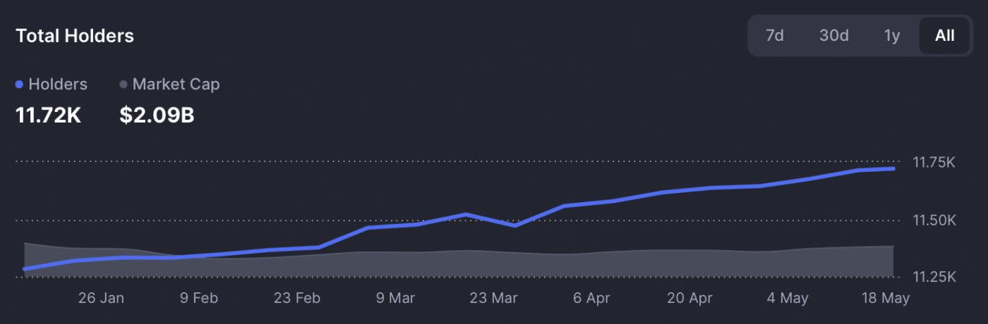 NEAR token holder chart.