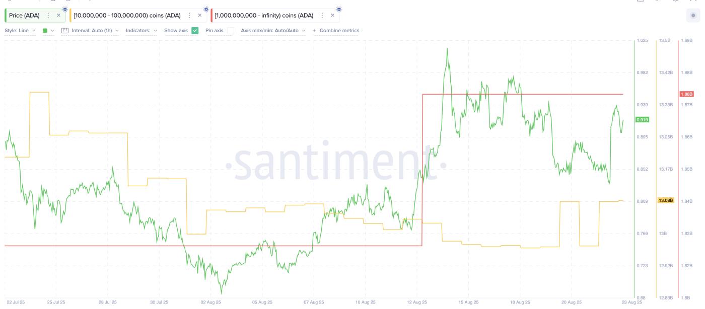Cardano as one of the Coins Crypto Whales are Buying