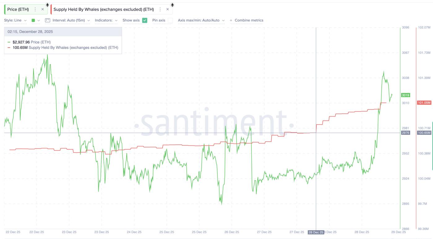 Whales Add Near Support